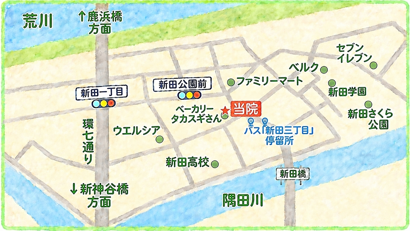 足立区新田の整骨院へのアクセスに使う新豊橋・新田橋・新神谷橋・鹿浜橋の4本の橋を示したルート図解